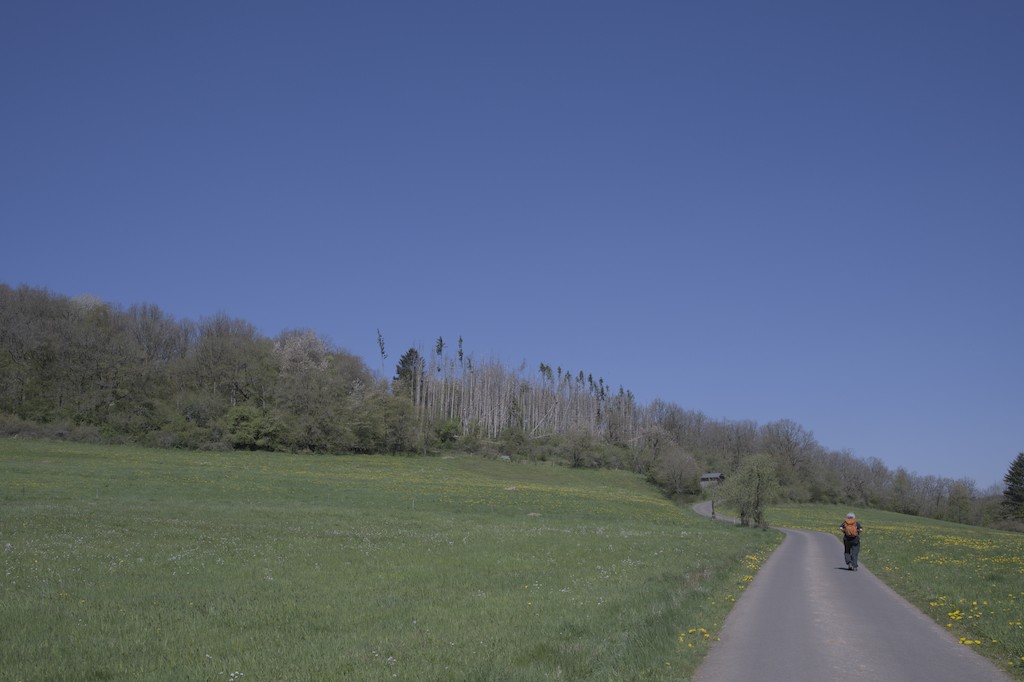 Der Nahesteig ist ein wunderschöner Wanderweg, der seinem Namen gerecht wird. Die Nahe begleitet einen die ganze Wanderung. Immer wieder quert man den Fluss oder man läuft entlang des Ufers. Oft läuft man auf schmalen Pfaden, auch mal in schönen Wäldern und entlang von Felsformationen, durch bunte Wiesen und auch zu vereinzelten Aussichten. Es fällt schwer, einzelne Höhepunkte des Weges herauszuheben: der Bärenfels am Anfang, keltischer Baumkreis und anschließend schöne Wiesen, das Nahetal vor Nohen und Aussichten "Eisenbahnerglück" bzw. "Felsklipp", "Odels Uwe", "Lorettablick" und das schöne Nahetal vor Ende der Tour sind nur ein paar der Attraktionen.